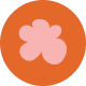 send.flwrs